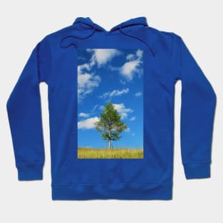 Tree with Cumulus Fractus Hoodie